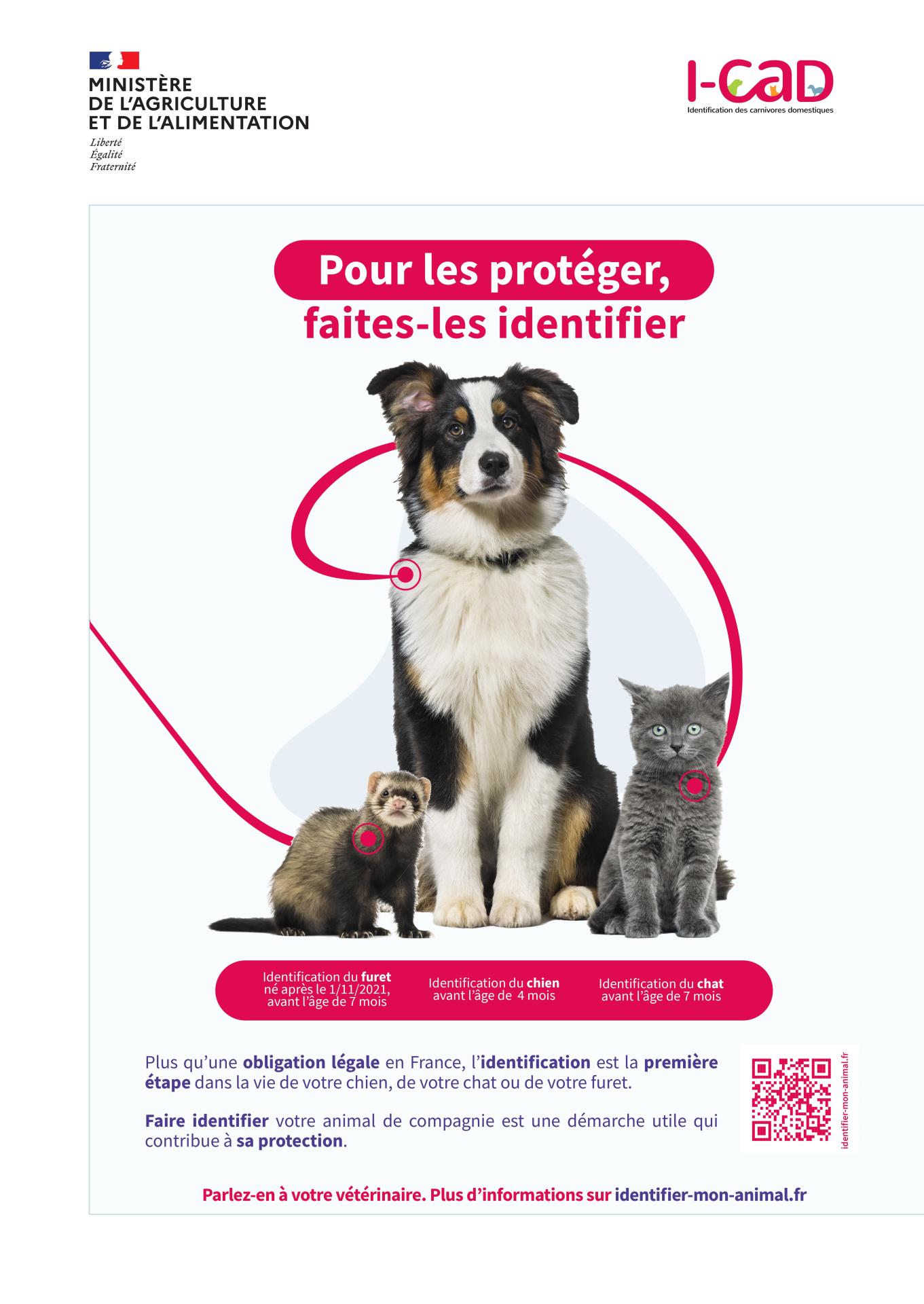identification des animaux